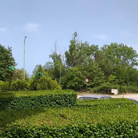 Tihon * Byala (Varna)